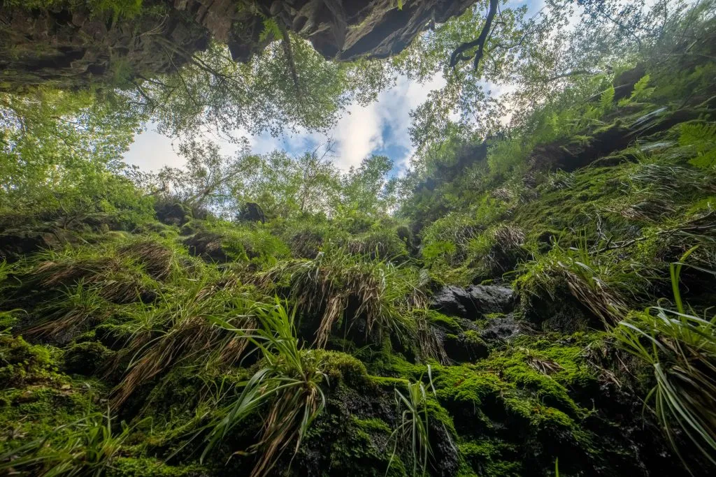 Green moss and rock formations at Lud's Church