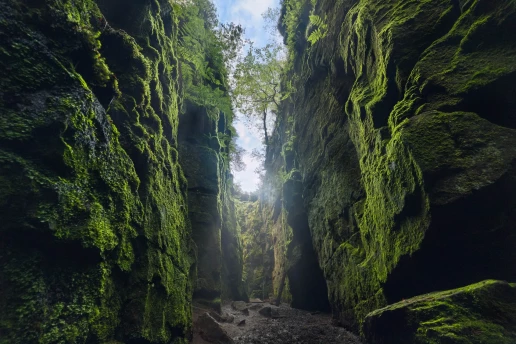 Wide-angle view through the Lud's Church chasm