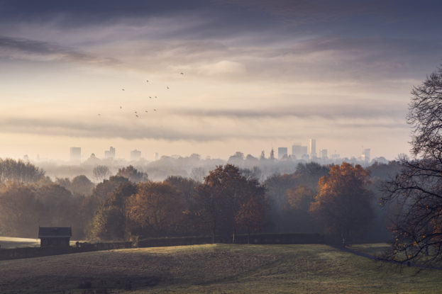 cityscape_1